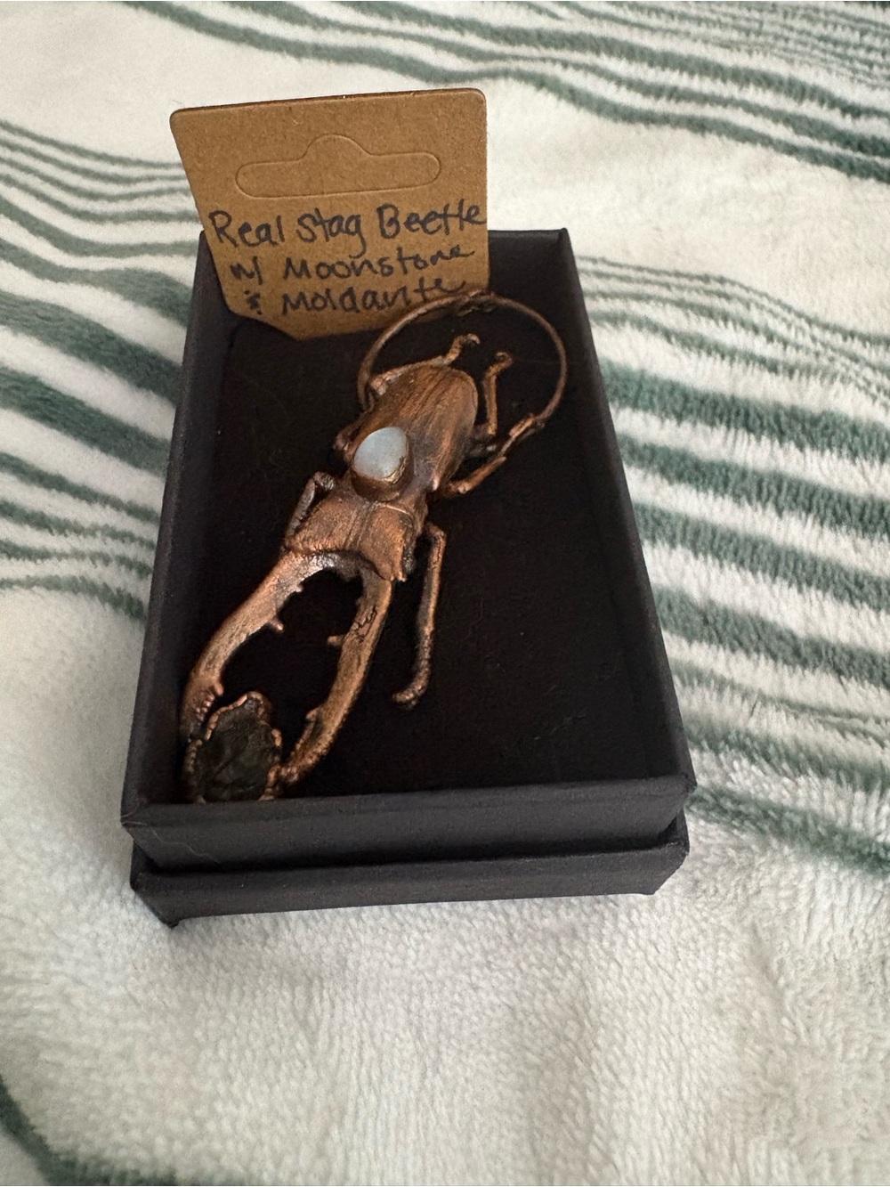 Electro formed Copper Stag Beetle necklace with Moonstone and moldavite